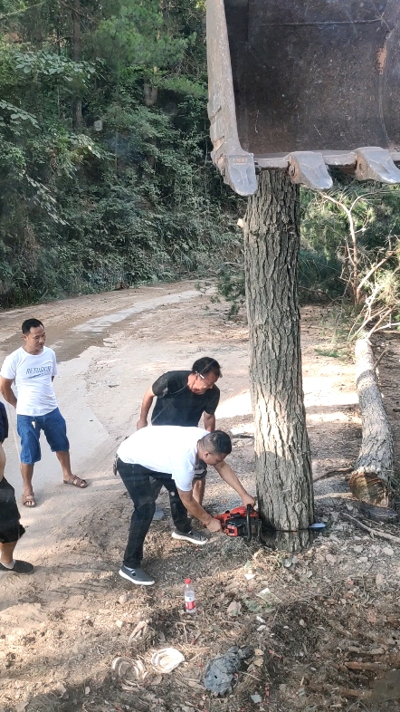 高尔夫比赛砍树指南，初学者与进阶用户的步骤教程