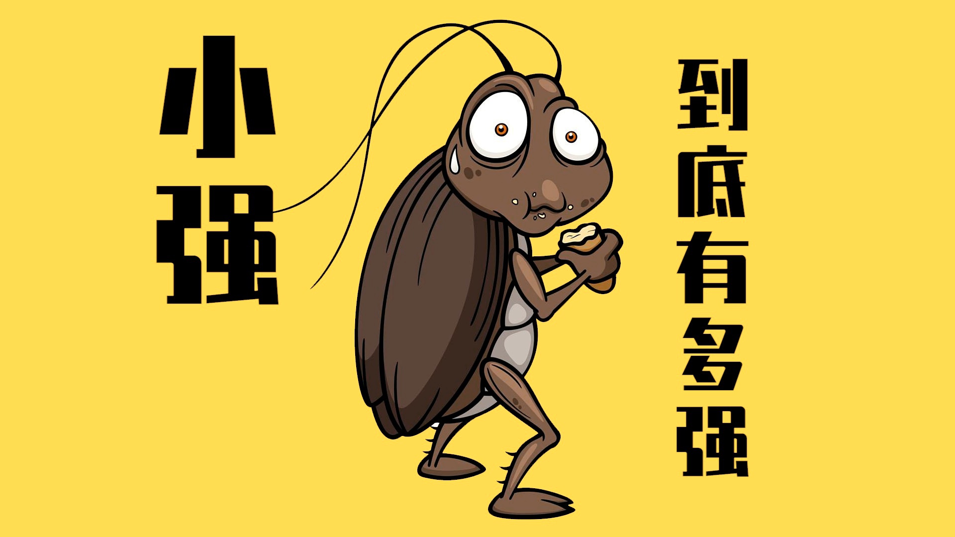 小强首部新作小说，自然之旅的奇妙探险