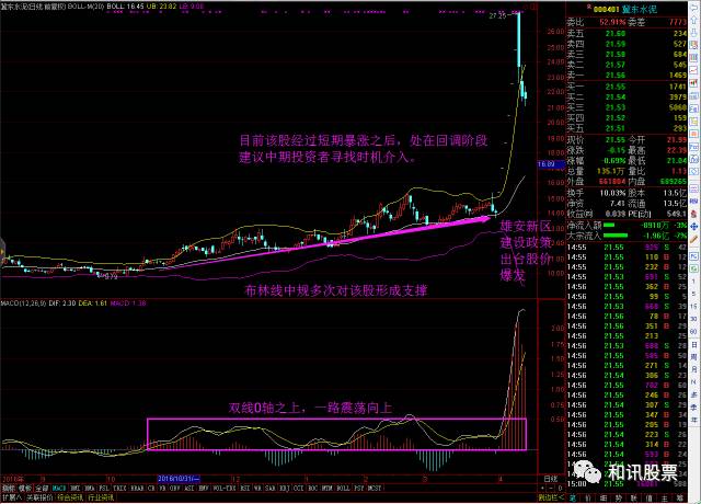 微信股票行情，心灵与自然的股市奇妙探索之旅