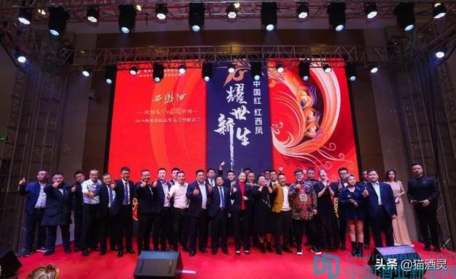 演员乔军，演艺之路的闪耀之星