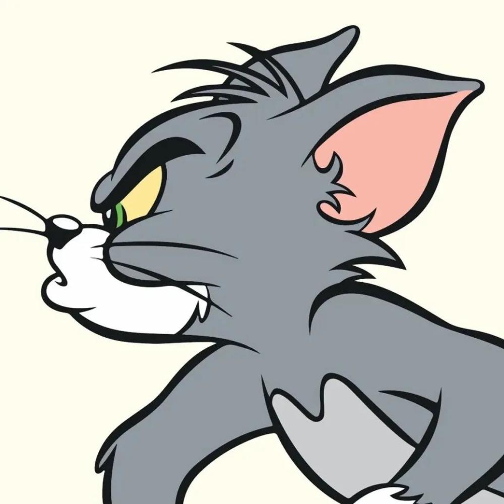 猫和老鼠最新头像，时尚潮流背后的故事揭秘