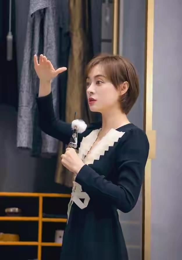 孙俪最新发型展示，魅力造型的步骤指南