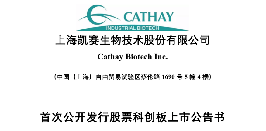 凯赛上市全程指南，从初学者到进阶用户的步骤详解