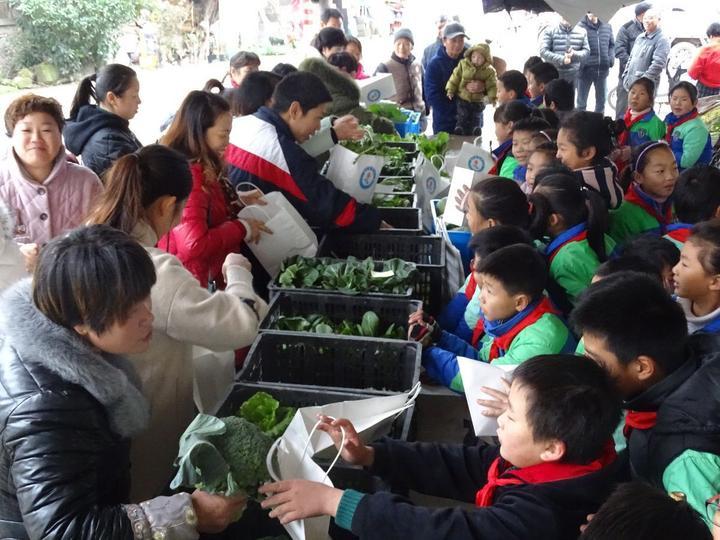 QQ农场最新互动活动，探索小巷独特风味，农场之旅惊喜连连！