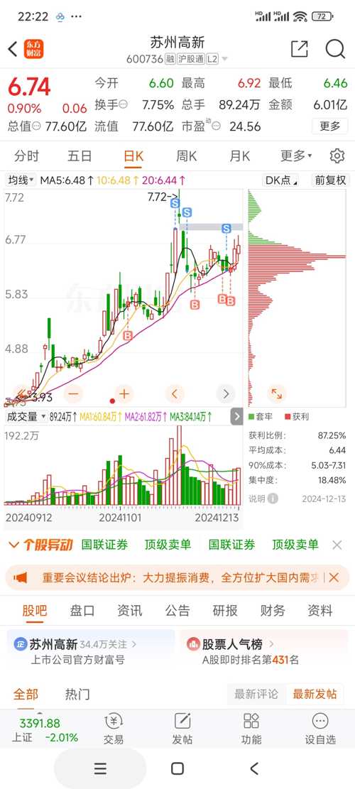 600736苏州高新股票,揭秘苏州高新股票背后的故事，小巷中的特色小店