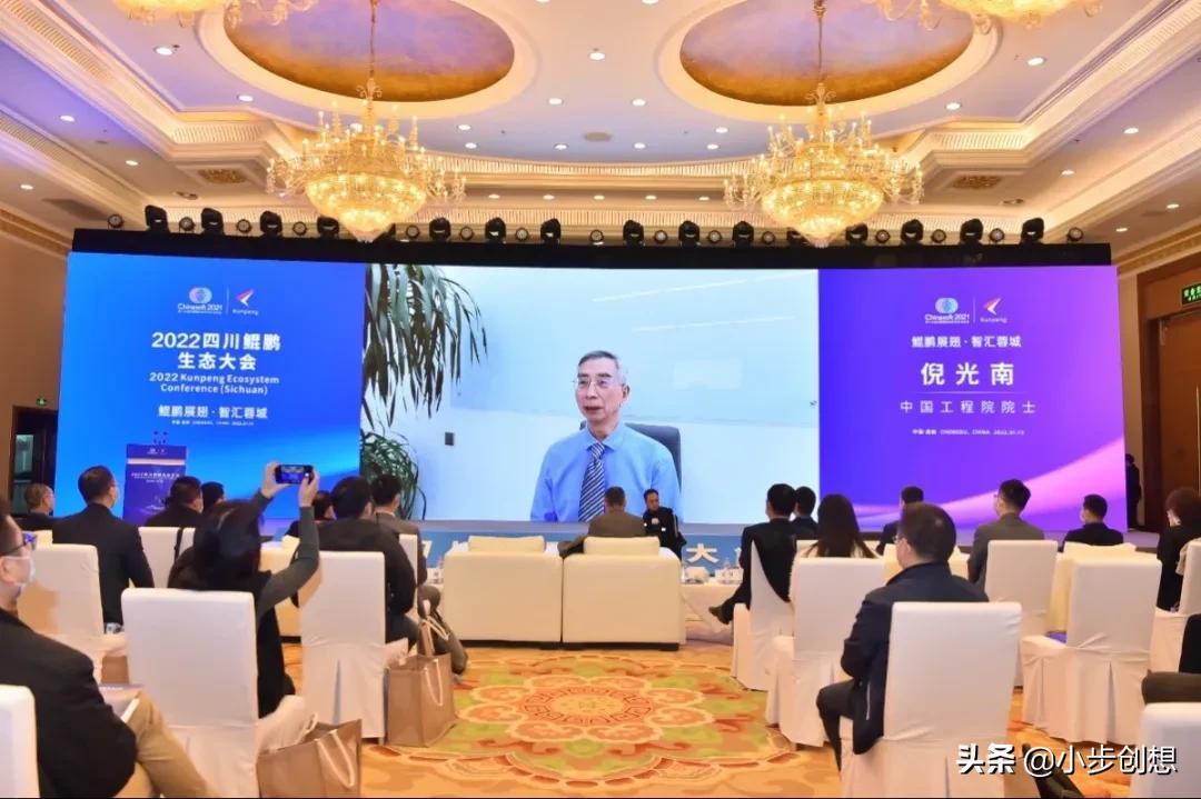 数字认证股票行情，心灵之旅与自然的交织之美