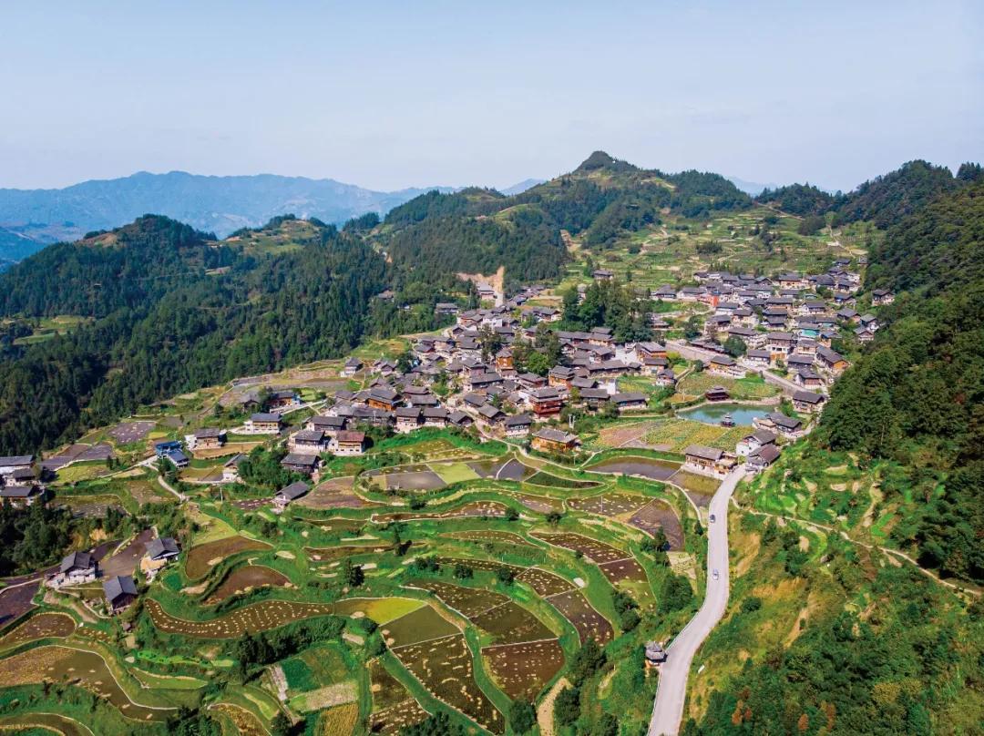 龙塘村最新动态概览