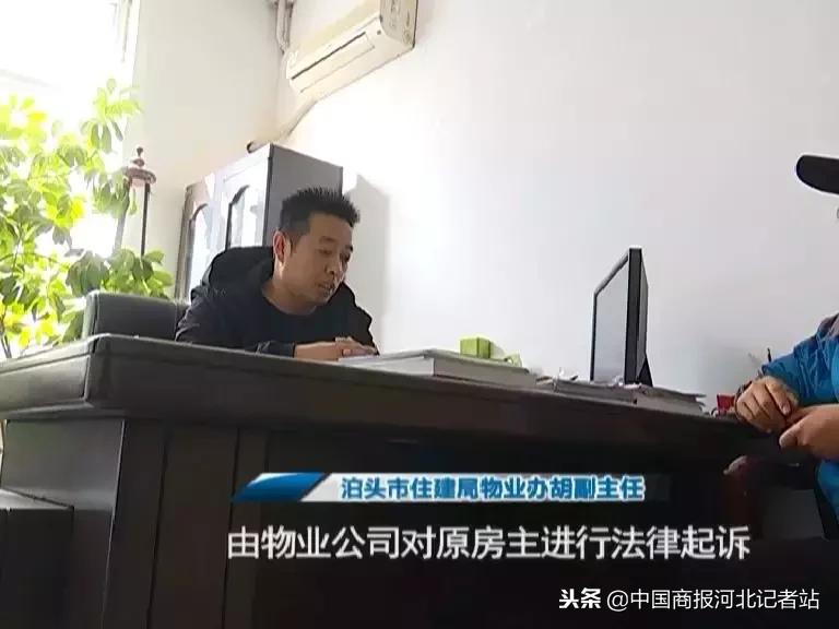 泊头二手房最新出售信息今日发布，科技助力，生活品质升级