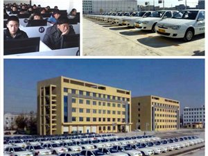 花瓶柱机械及模具 第128页
