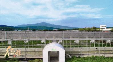开平工厂最新招聘求职，高科技产品引领未来，体验前沿科技生活招聘启事