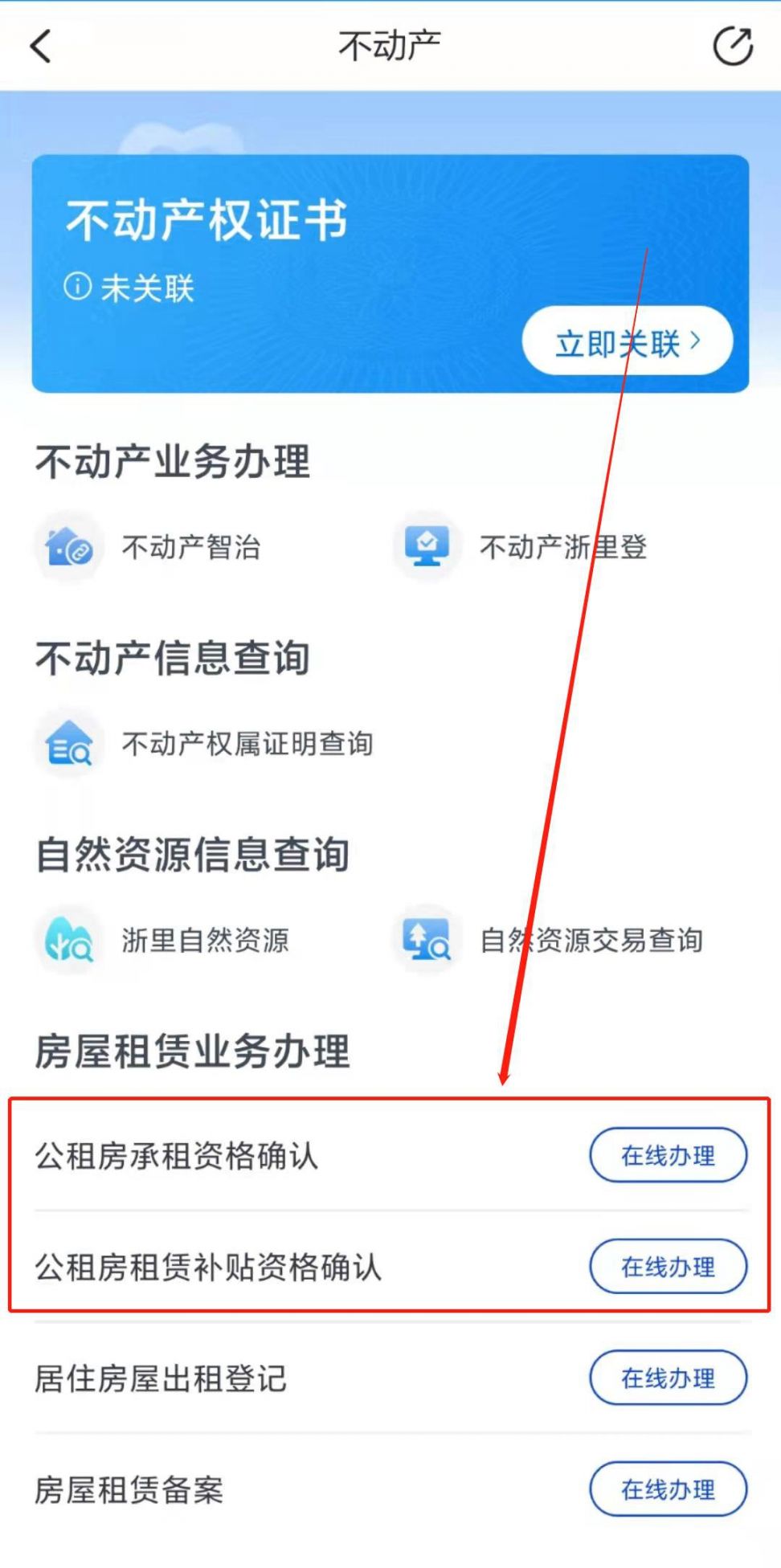 丽水公租房最新动态与小巷中的隐藏特色小店探秘