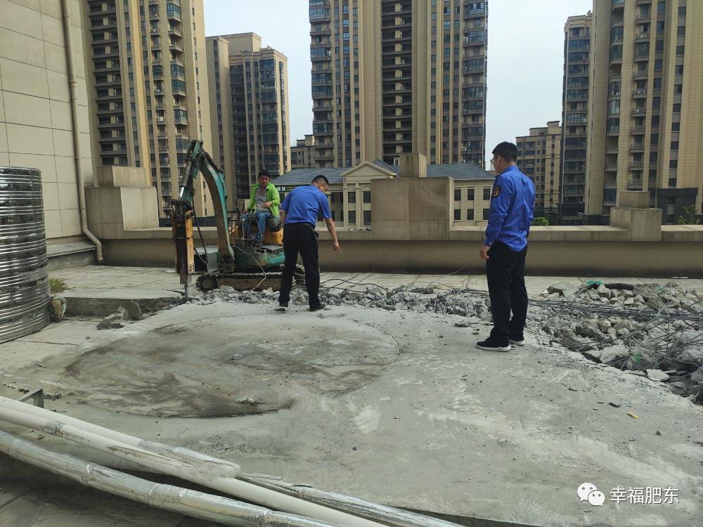 肥东恒大绿洲最新房价揭秘，背景、动态与地位分析