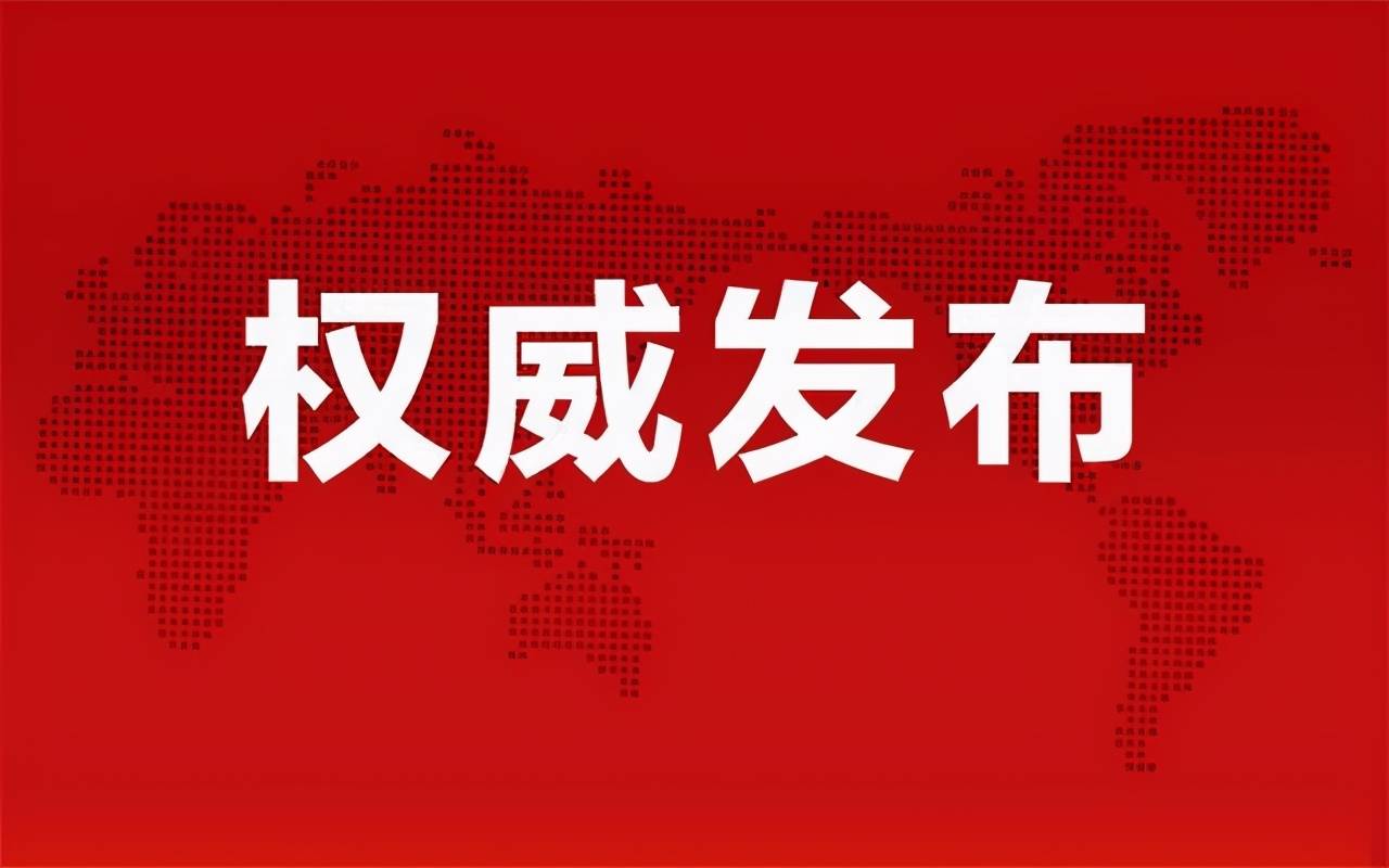 陈加民最新动态，揭开成功的神秘面纱。